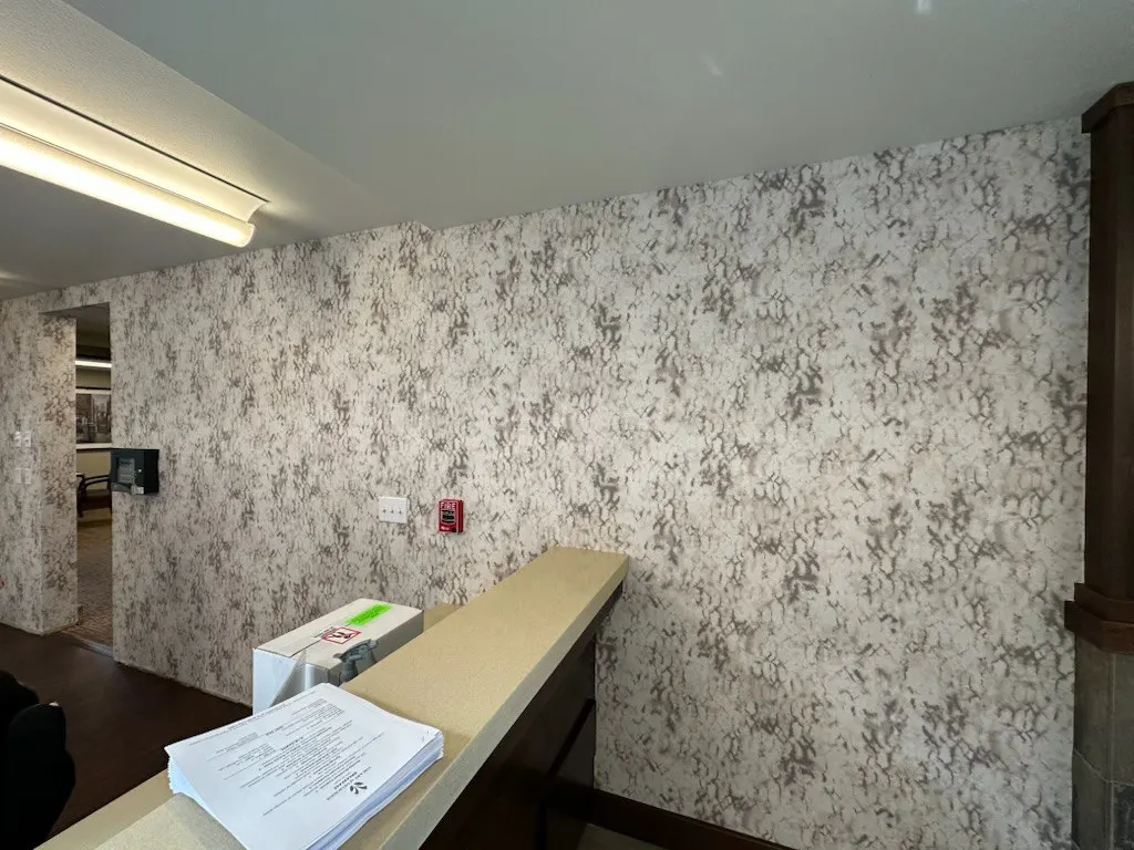 Professional wallpaper work in Livonia Michigan